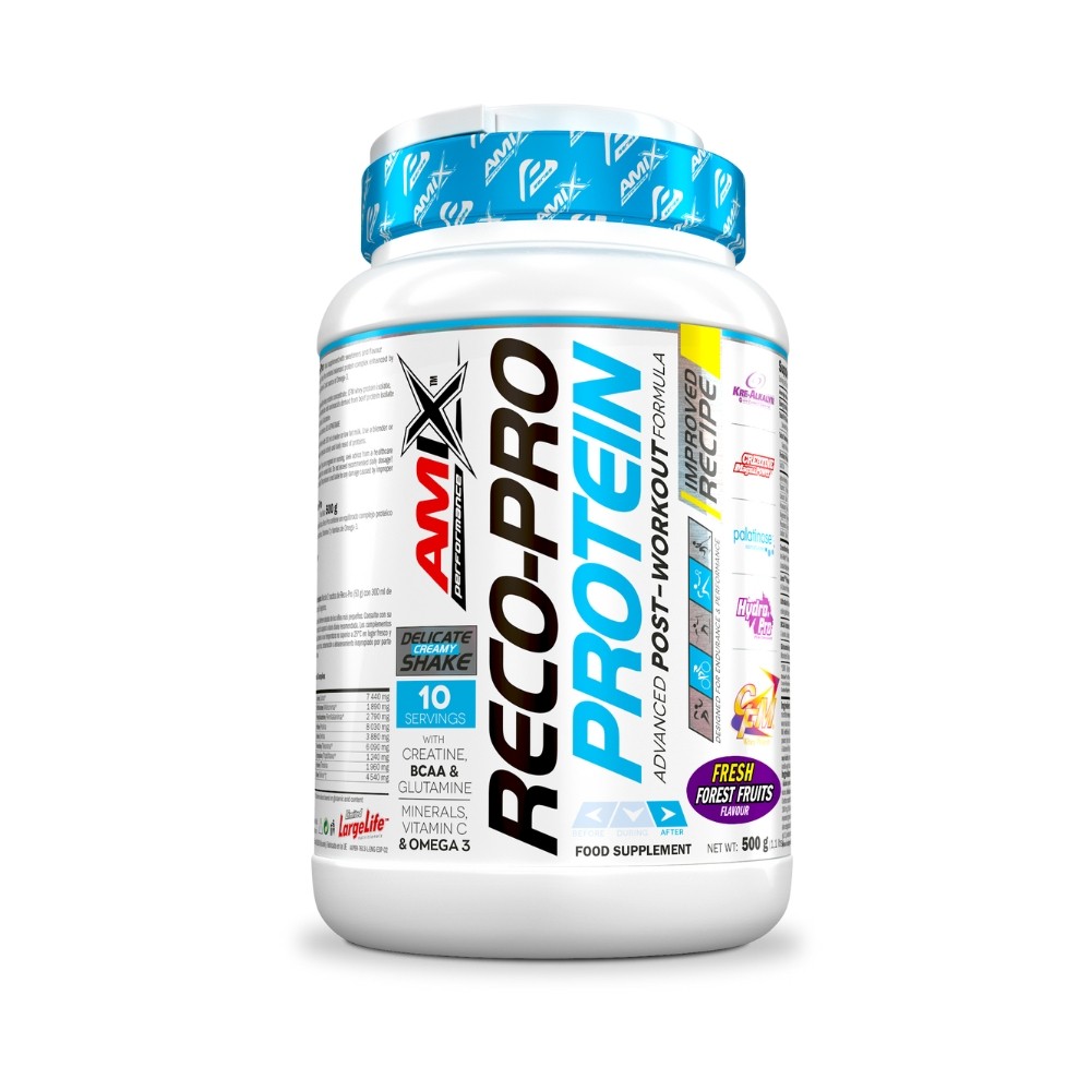 AMIX PERFORMANCE RECO-PRO RECOVERY 500GR FRUT.B