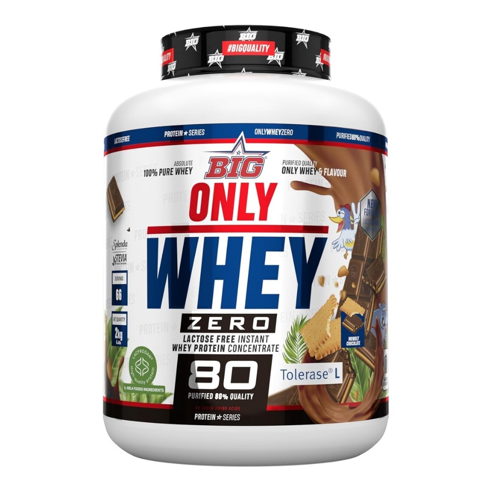 BIG ONLY WHEY TOLERASE 2KG MOWGLY DARK CHOCO