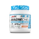 AMIX PERFORMANCE MAGNECHEL DRINK 420GR MANGO