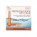 PRAXIS PROTEOGLICANOS VITAMINA C PLUS 6UD