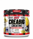 BIG CREABIG® CREATINE 200MESH 250G FRESH ROCKET