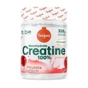 TORAFOOD CREATINE CREAPURE 320G LOLLIPOP
