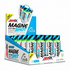 AMIX PERFORMANCE MAGNESHOT FORTE 20X60ML MANGO