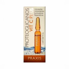 PRAXIS PROTEOGLICANOS VITAMINA C PLUS 1UD