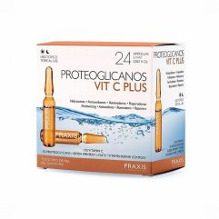 PRAXIS PROTEOGLICANOS VITAMINA C PLUS 24UD