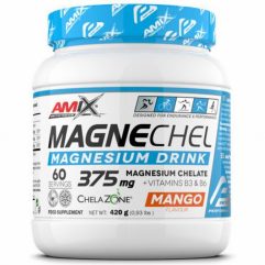 AMIX PERFORMANCE MAGNECHEL DRINK 420GR