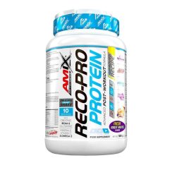 AMIX PERFORMANCE RECO-PRO RECOVERY 500GR FRUT