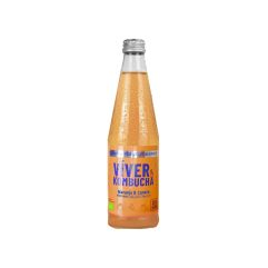 VIVER KOMBUCHA BEBIDA BIO 330ML NARANJA Y CANELA