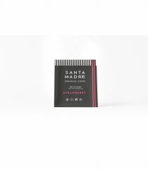 SANTA MADRE RECOVERY MONODOSIS 30*50G FRESA